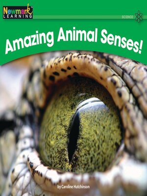 cover image of Amazing Animal Senses!